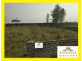 m-block-3-katha-north-facing-ready-plot-sale-at-bashundhara-ra-small-0