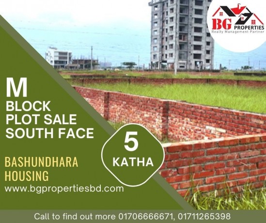 block-m-5-katha-south-face-bashundhara-ra-big-0