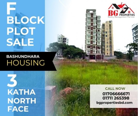 block-f-3-katha-north-face-bashundhara-ra-big-0