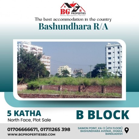 block-b-5-katha-north-face-bashundhara-ra-big-0