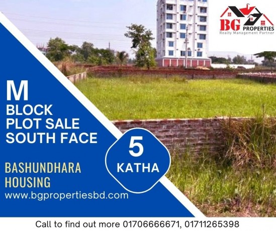 block-m-5-katha-south-face-bashundhara-ra-big-0