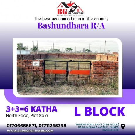 block-l-336-katha-north-face-bashundhara-ra-big-0
