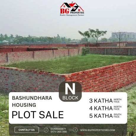 block-n-4-katha-south-face-bashundhara-ra-big-0
