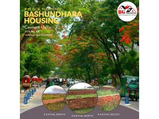 P Block ready plot sale at Bashundhara R/A