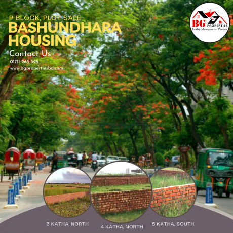p-block-ready-plot-sale-at-bashundhara-ra-big-0